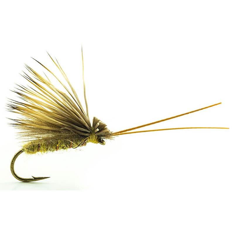 Mouche Devaux Sedge Tricoptheres Elk Cdc 01 Bl