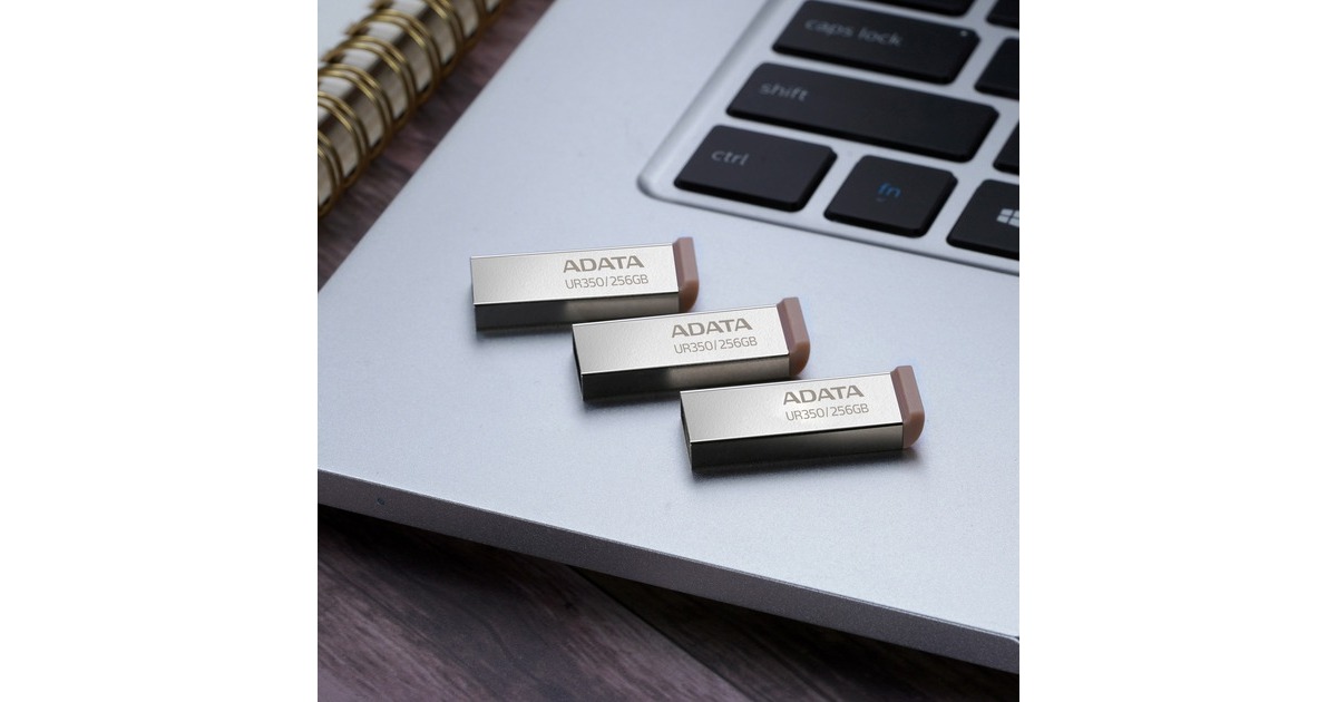 ADATAUR350 256 GB usb-stick  (nikkel/bruin, USB-A 3.2 Gen 1 (5 Gbit/s))