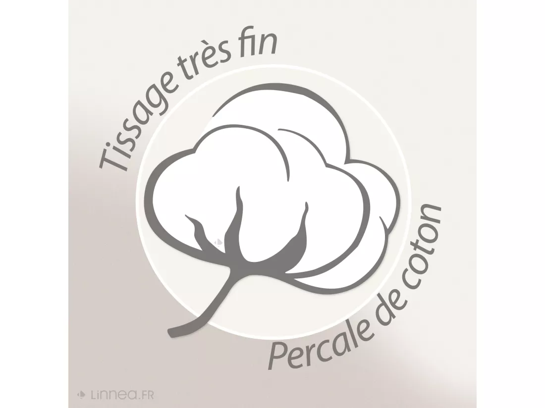 Drap plat 180x290 cm en 100% percale de coton MACASSAR Cognac