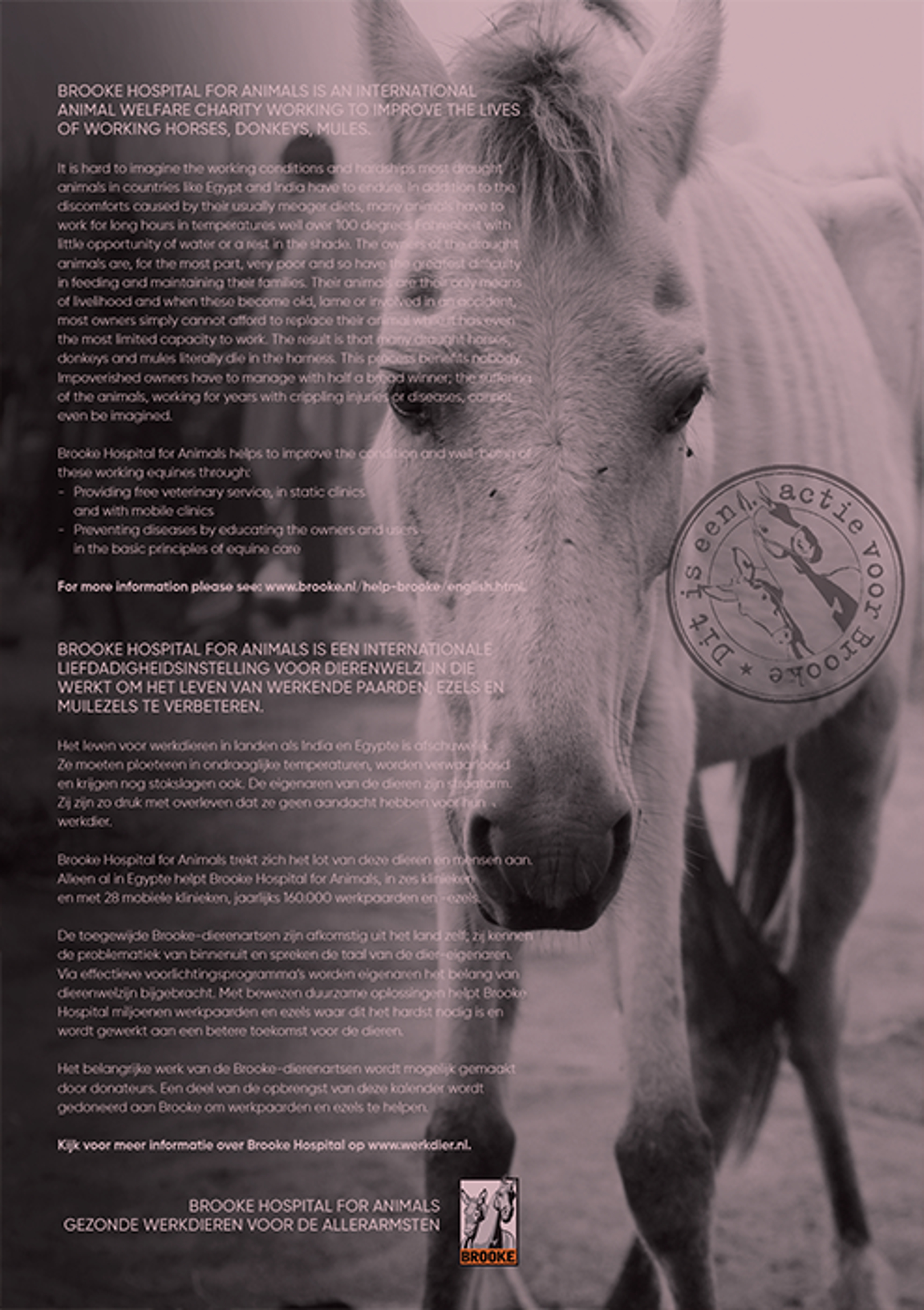 Horse and Hunk kalender 2026