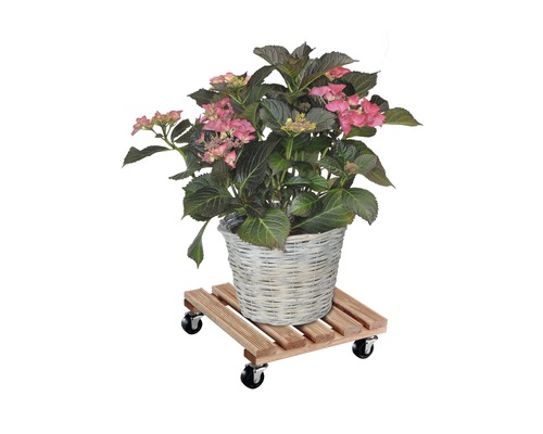 Wagner plantenwagen, grenen, 29x29 cm, 150 kg