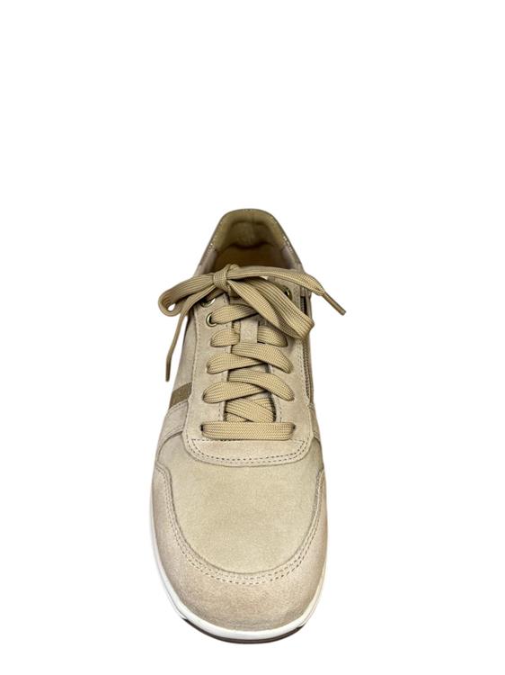 Xsensible 30228.2 Modena Beige