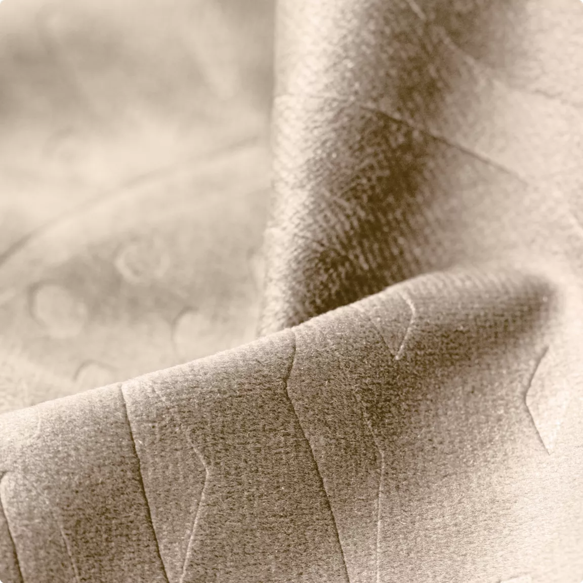 Rideau obscurcissant velours (180 x 260 cm) Fern Taupe
