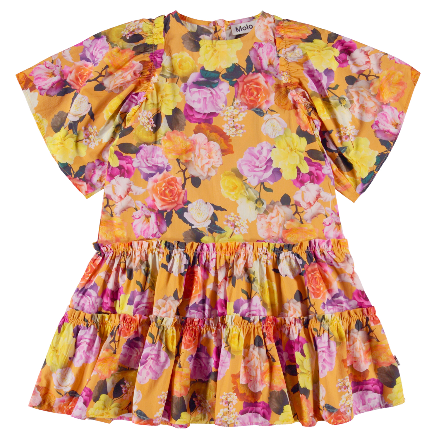 Cat - Clementine Roses