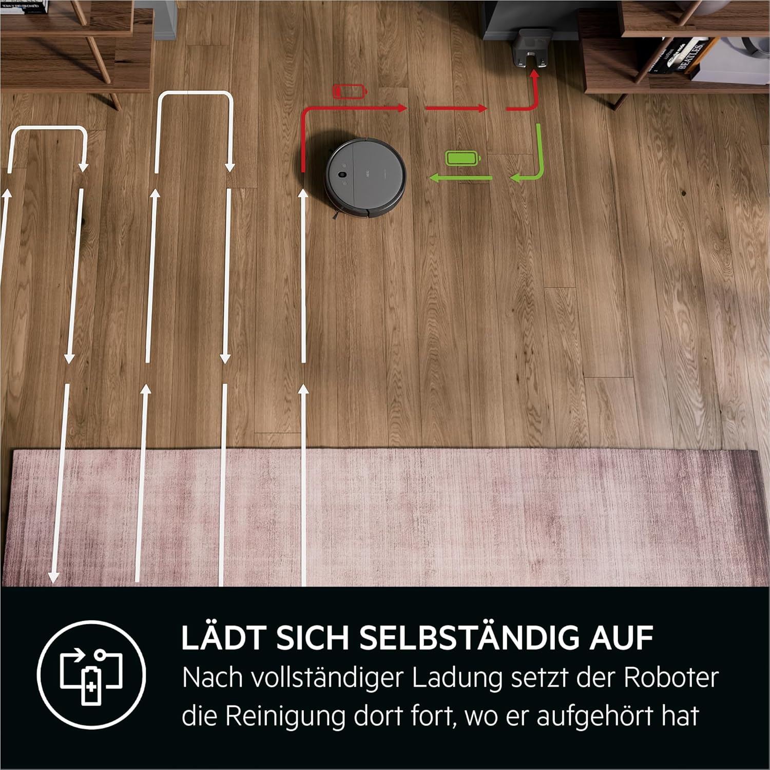AEG AR61UW1DG Staubsaugerroboter, Gyroskop + Kamera, Lithium-Akku 14,4 V, Laufzeit 120 min, Wassertank 0,25 l, iOS/Android-App, 2 motorisierte Bürsten, Ladestation, Mops, Grau