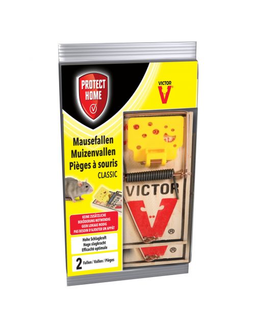 Protect Home Muizenval Hout - Ongediertebestrijding - 2 stuks