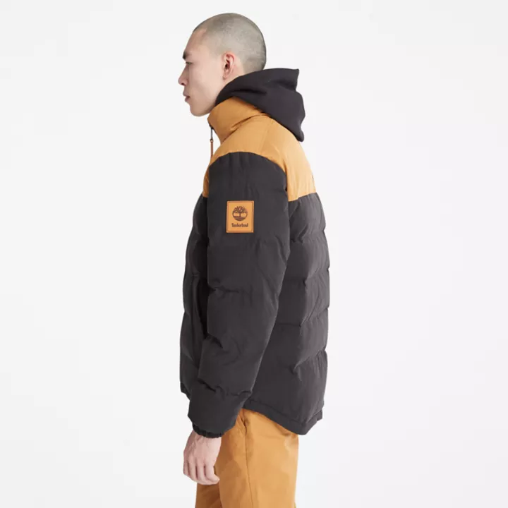 Doudoune Welch Mountain pour homme en noir/jaune