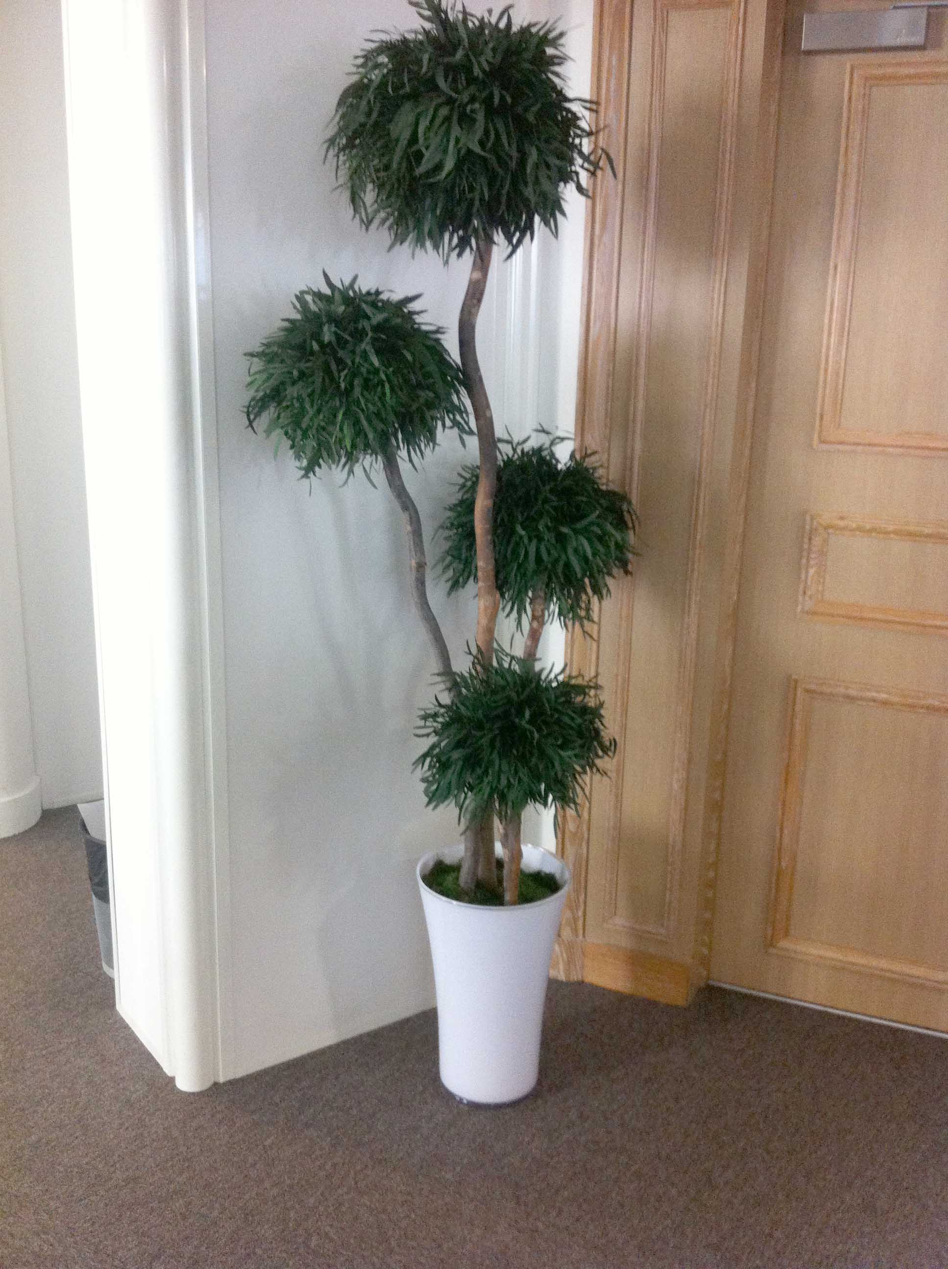 Arbre nicoly 4 boules stabilisé 180 cm