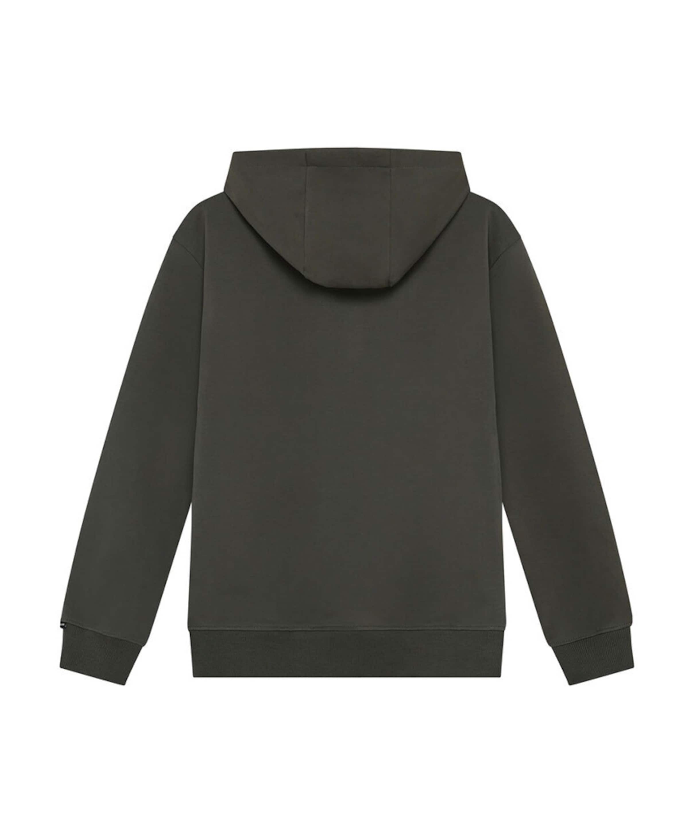 Indian Blue Jeans Jongens hoodie groen