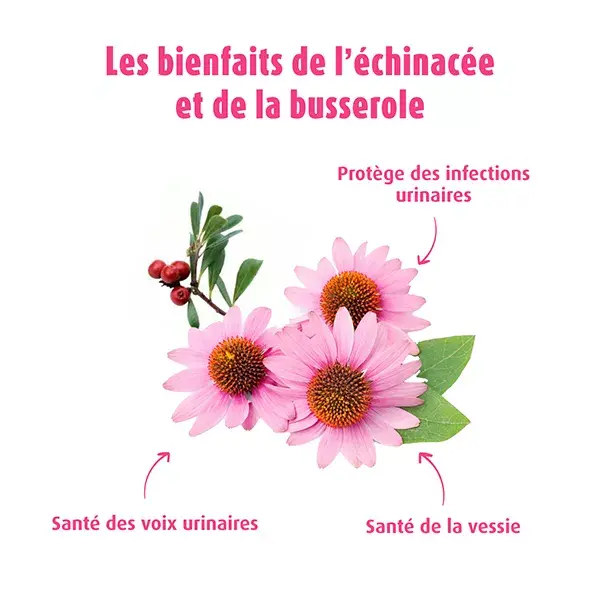 A.Vogel Cystoforce Saúde Urinária 50ml