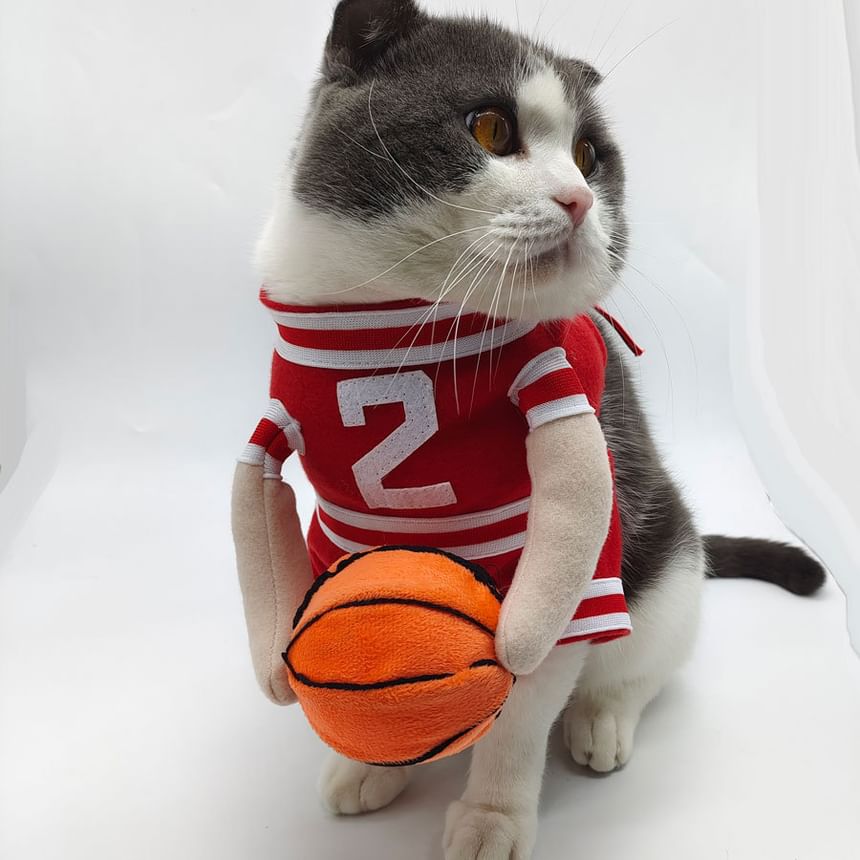 Everlupid - Basketbal Pet Top