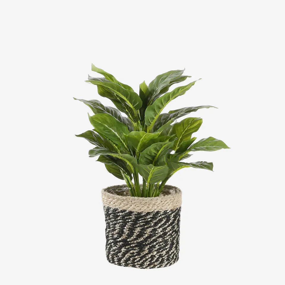 Mica Decorations Bonaparte Mand voor Planten Ø20 cm
