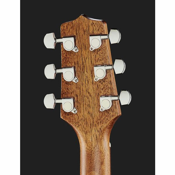 Takamine GD30CE-N