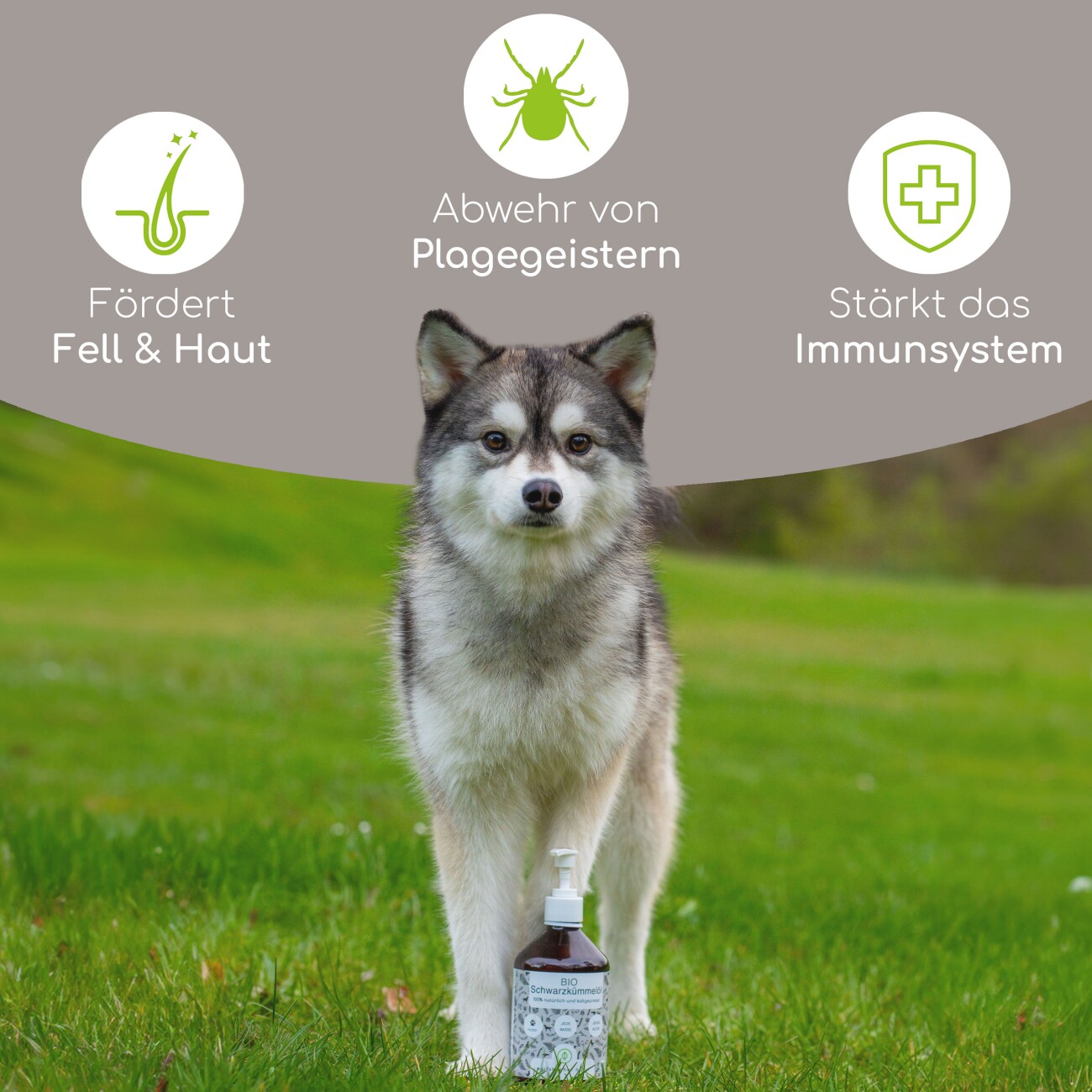 Wolfsbacher Natur Futteröl Set 4 x 500ml