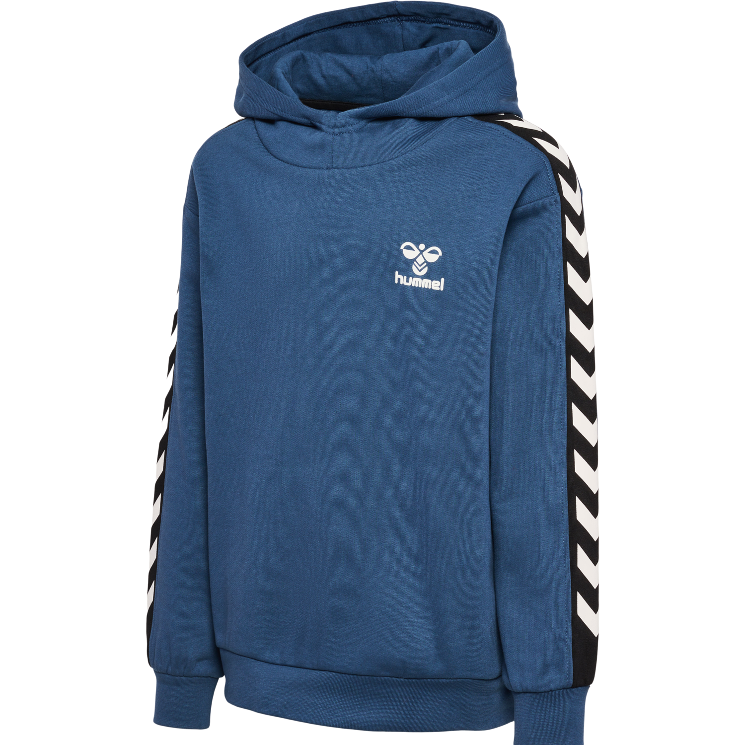 hmlTAKAO HOODIE