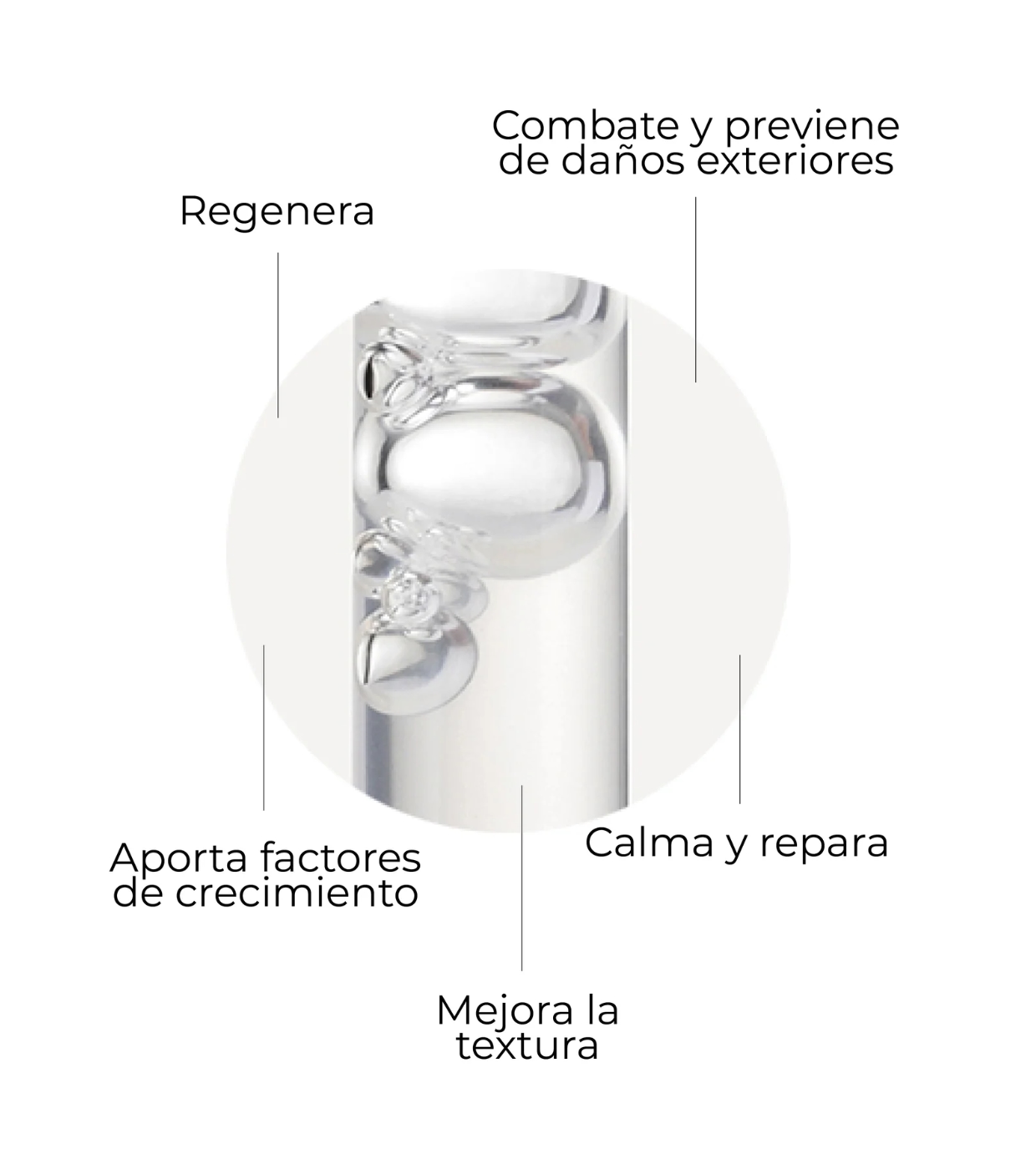 SEGLE - Sérum facial regenerador antienvelhecimento Skin Factor - Pele sensível