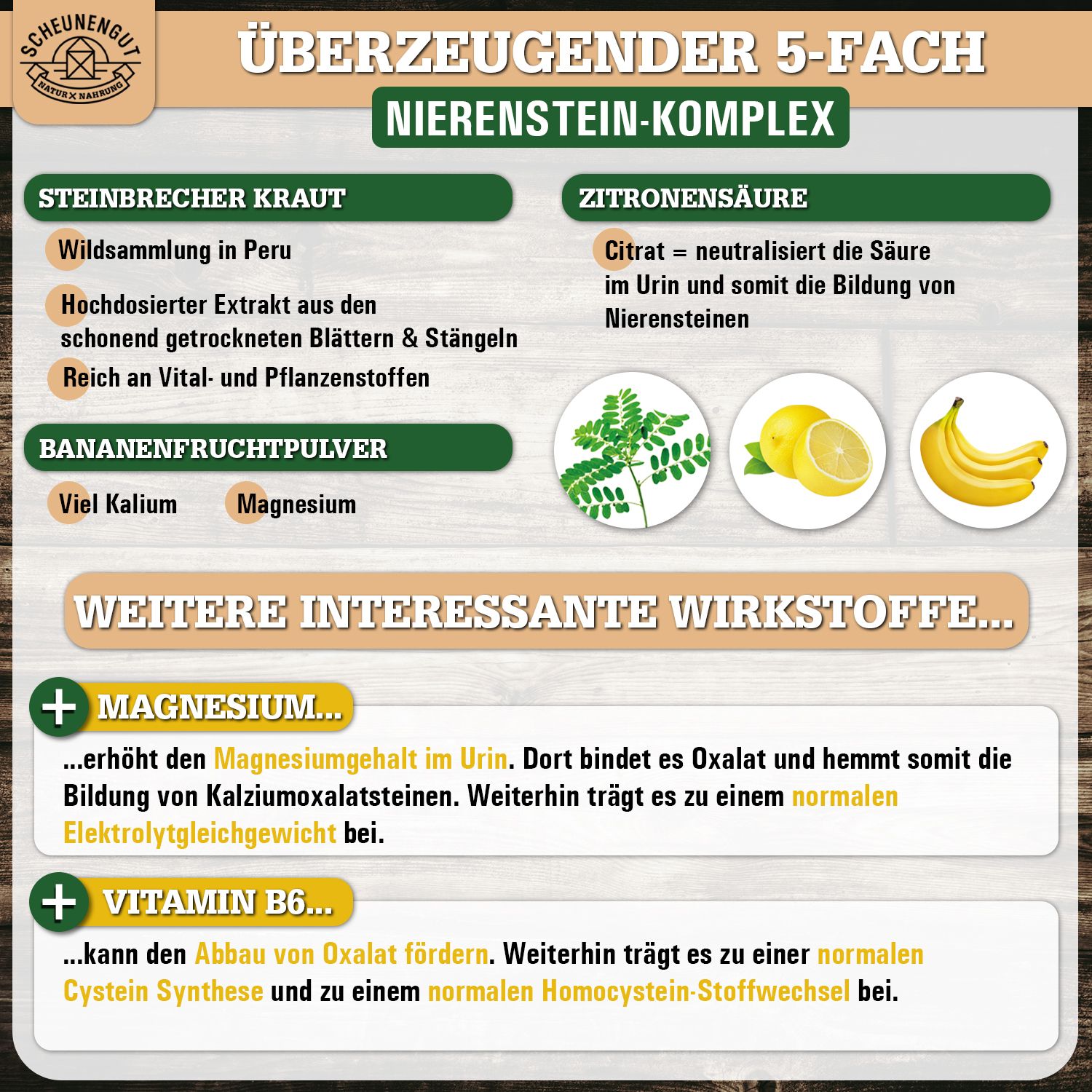 Scheunengut® Steinbrecher Intenso | Die Original Nierenstein-Formel aus der TCM | Chanca Piedra