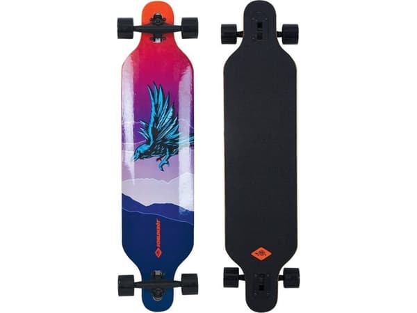 Skateboard Schildkrot Riedlente Schildkrot Freeride 41 