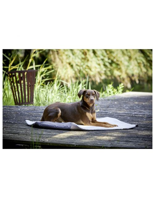 Wolters Vagabund Travel Blanket - Hondendeken - 100x70 cm Mosgroen