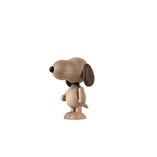 Boyhood Snoopy