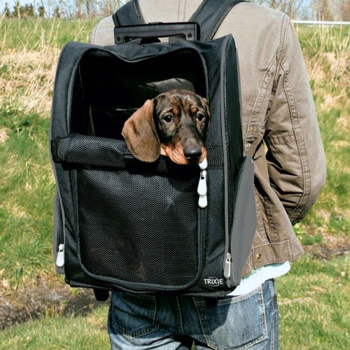 Mochila preta para animais de estimação com carrinho.