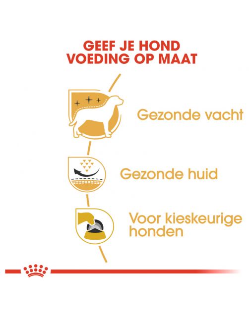 Royal Canin West Highland White Terrier Adult - Hondenvoer