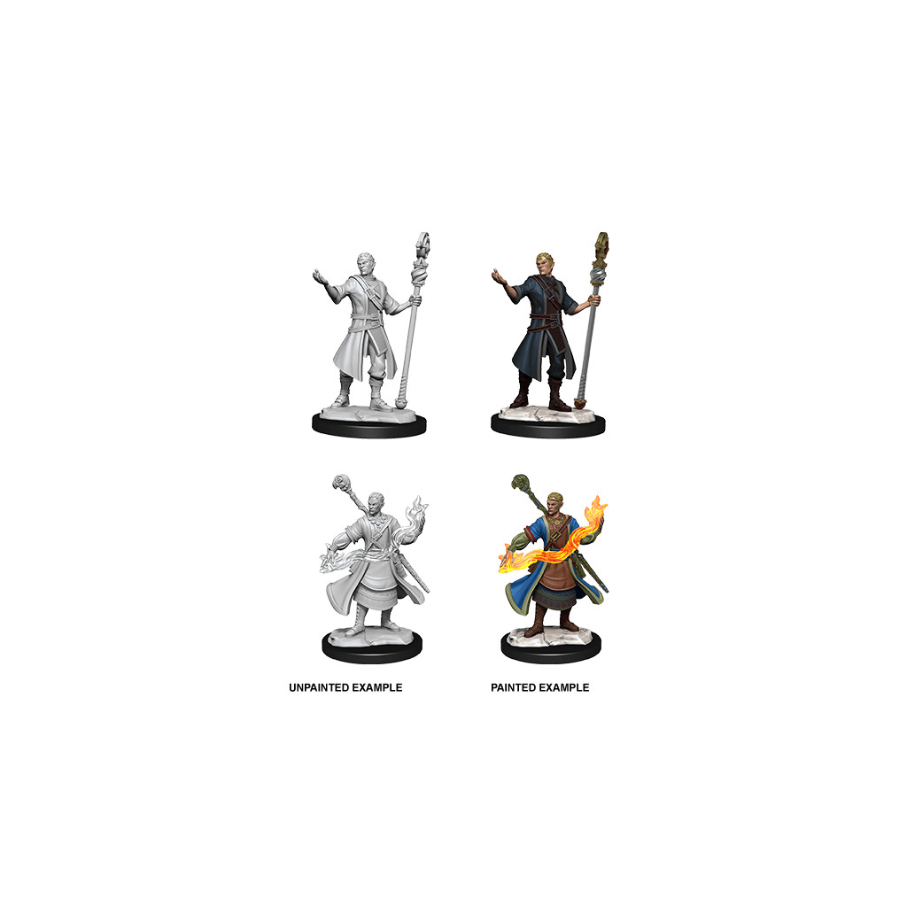 D&D Nolzur's Marvelous Unpainted Miniatures: Half-Elf Wizard Male