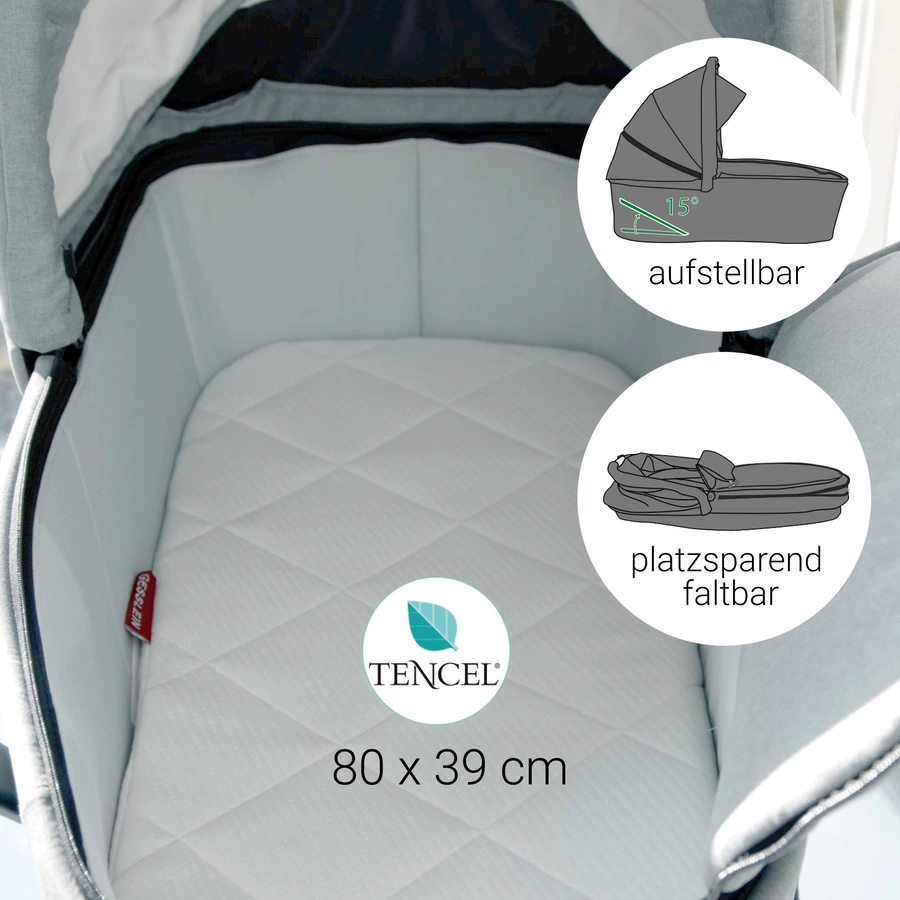 GESSLEIN Kombikinderwagen FX4 Life mit Handbremse, sand