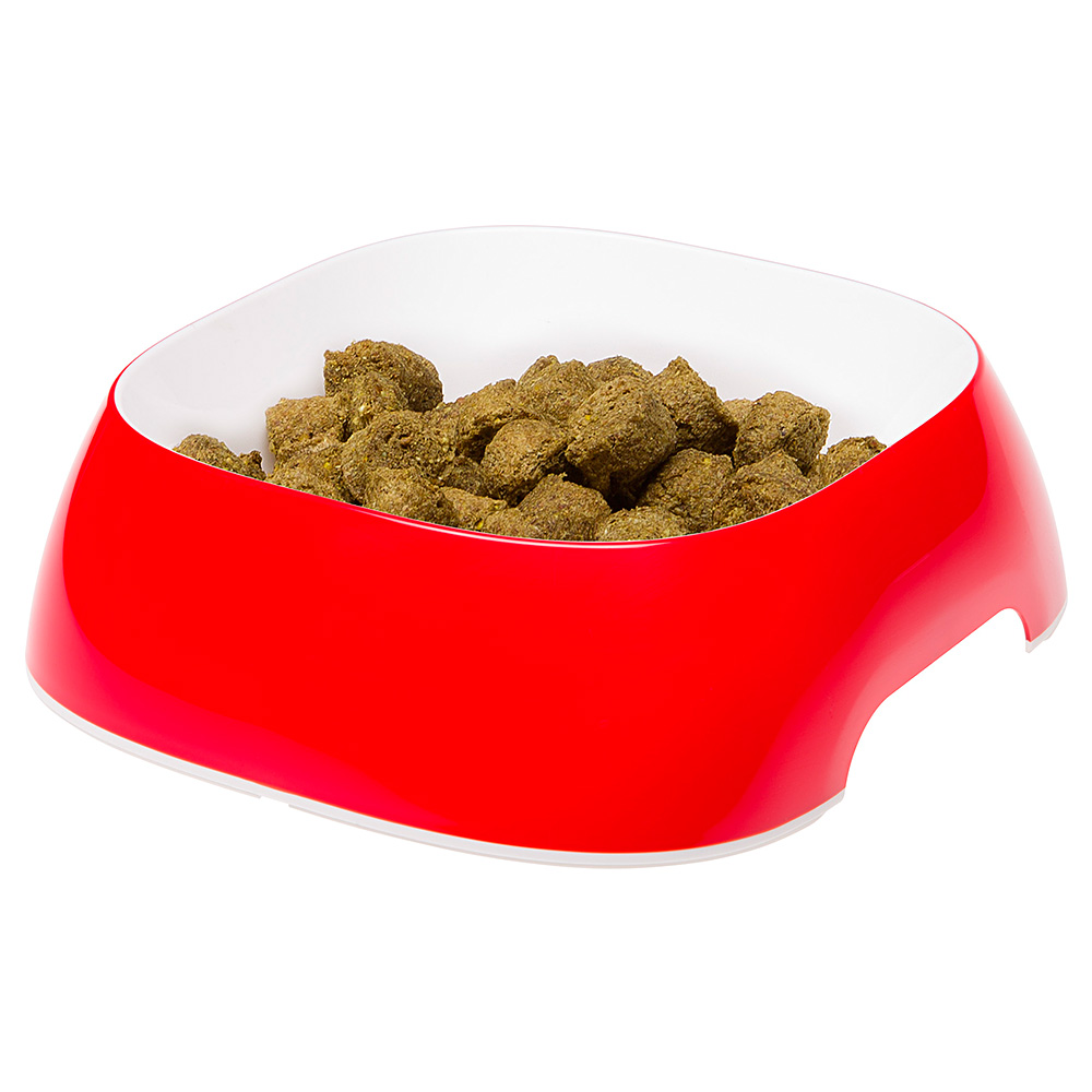 Écuelle glam large plastique chiens chats différentes mesures couleurs mode pratique