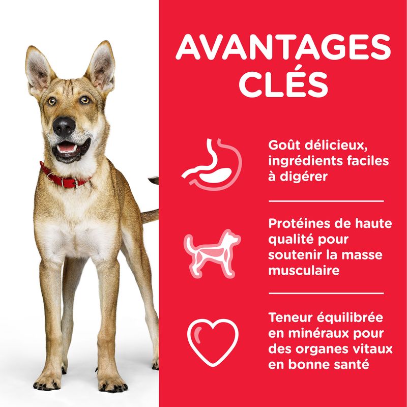 Hill's Science Plan Adult 1+ Performance poulet sur bitiba.fr
