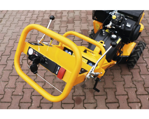 LASKI F-460 EI HD-stronkenfrees op benzine