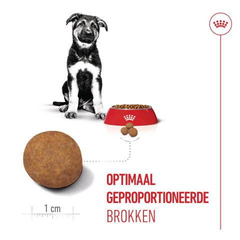 Royal Canin Maxi Puppy - Hondenvoer - 3 Kilogram - gevogelte