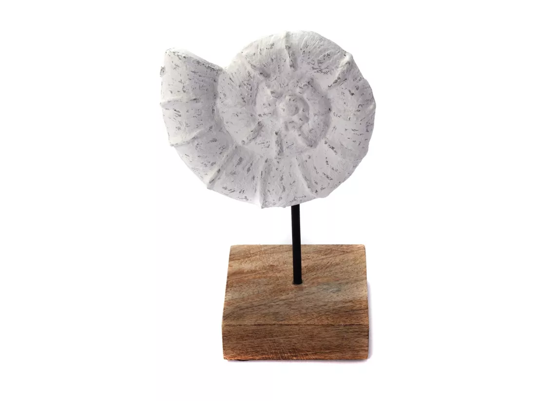 SCULPTURE Coquillage Socle en bois de mangue blanc-naturel