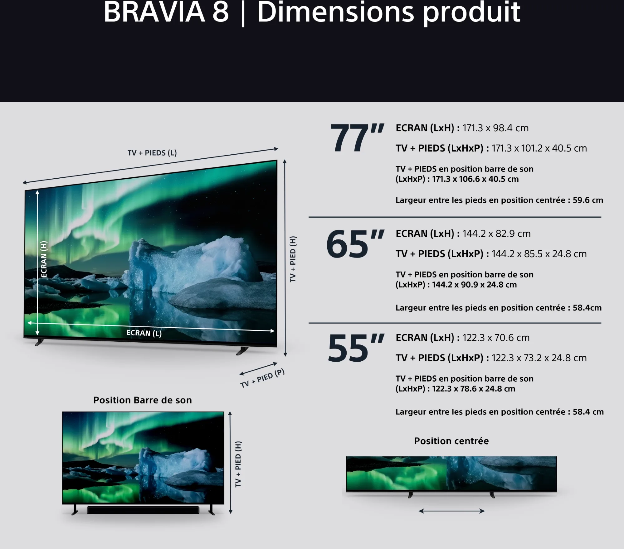 Sony 65 BRAVIA 8 (65XR80)   BRAVIA Theatre Quad   SA-SW5 TV UHD 4K