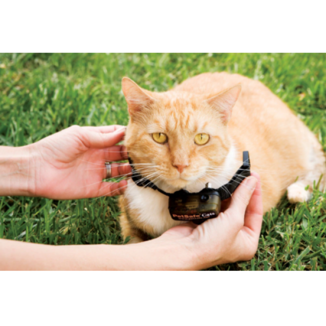 Collier supplémentaire pour clôture anti-fugue Petsafe pour chat