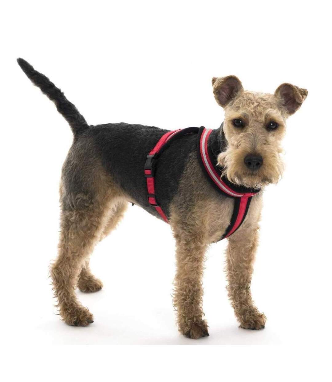 Halti - Harnais pour chiens COMFY (Rouge) (L) - UTTL4878