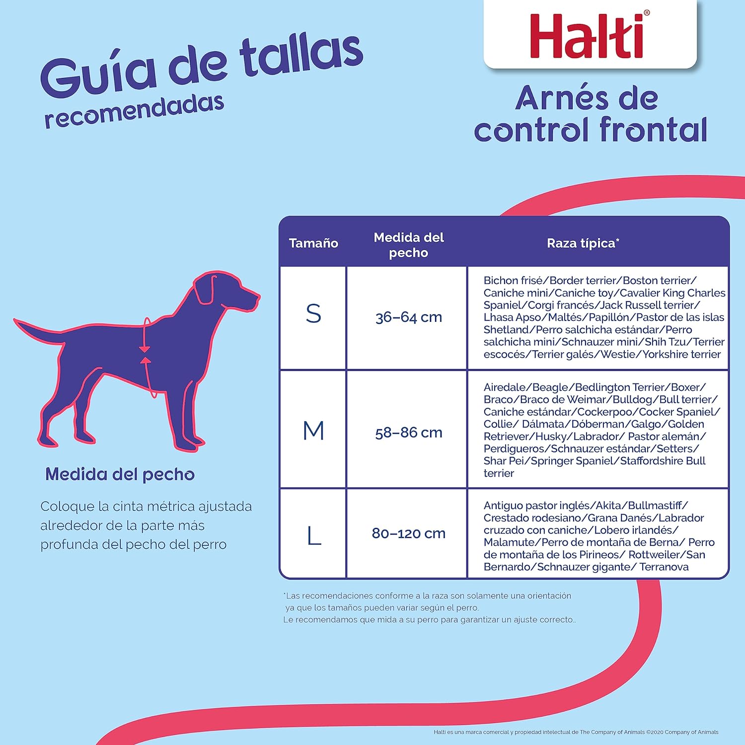 Coleira de treinamento anti-puxão Halti para cães