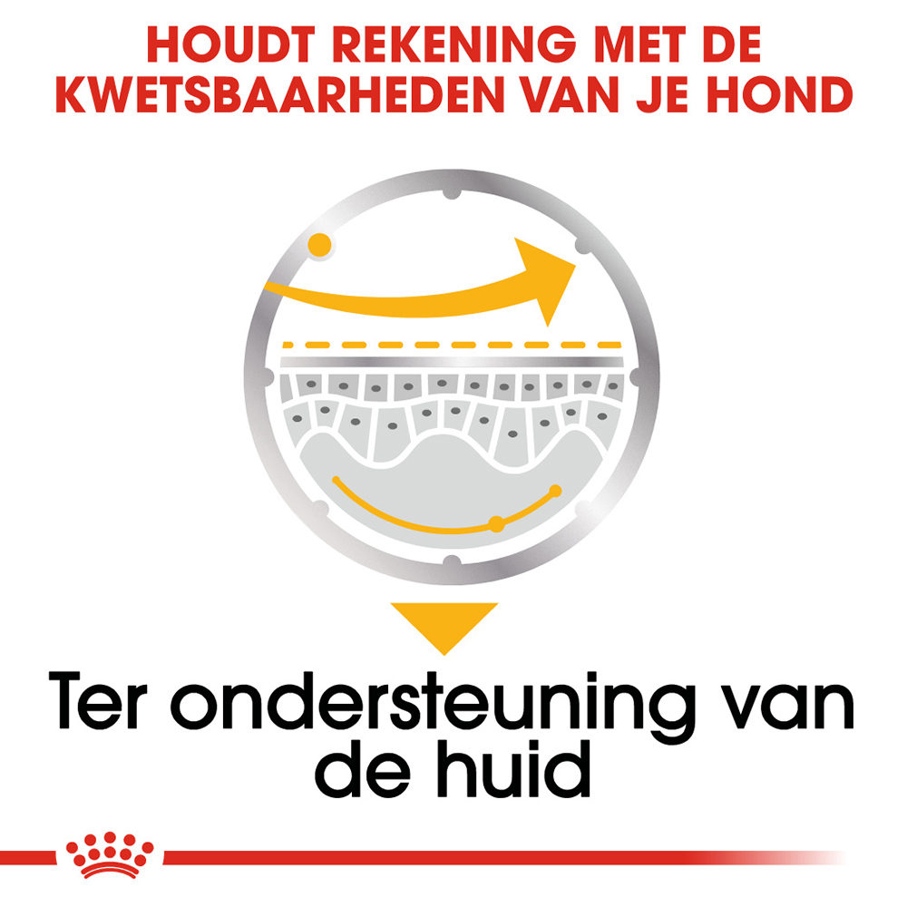 Royal Canin Dermacomfort Wet - Hondenvoer