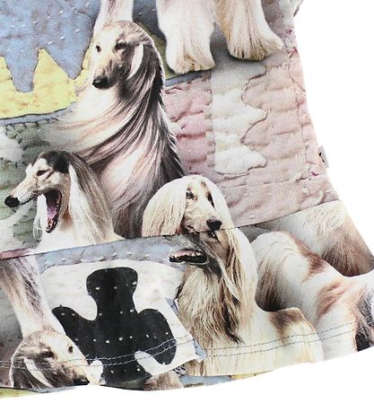Molo -T-Shirt - Ebba - Dogtastic