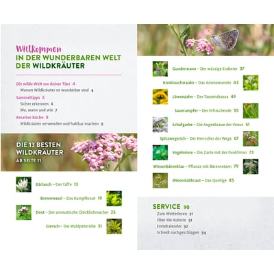 Wild und wunderbar: die 13 besten Wildkräuter