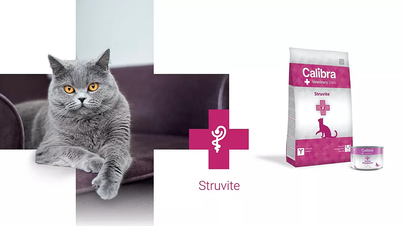 Calibra Cat Veterinary Diets Struvite/Oxalate Management 1.5 kg