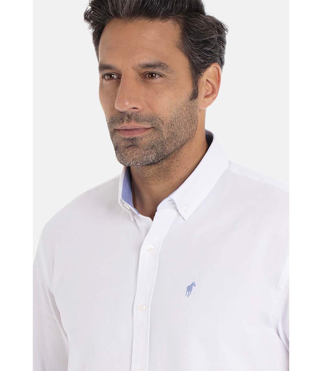Chemise manches longues col boutonné coton CLUB