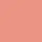Beauty Success - Blush Expression Blush- Blush / Poudre Bronzante