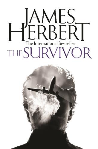 The Survivor (Paperback)
