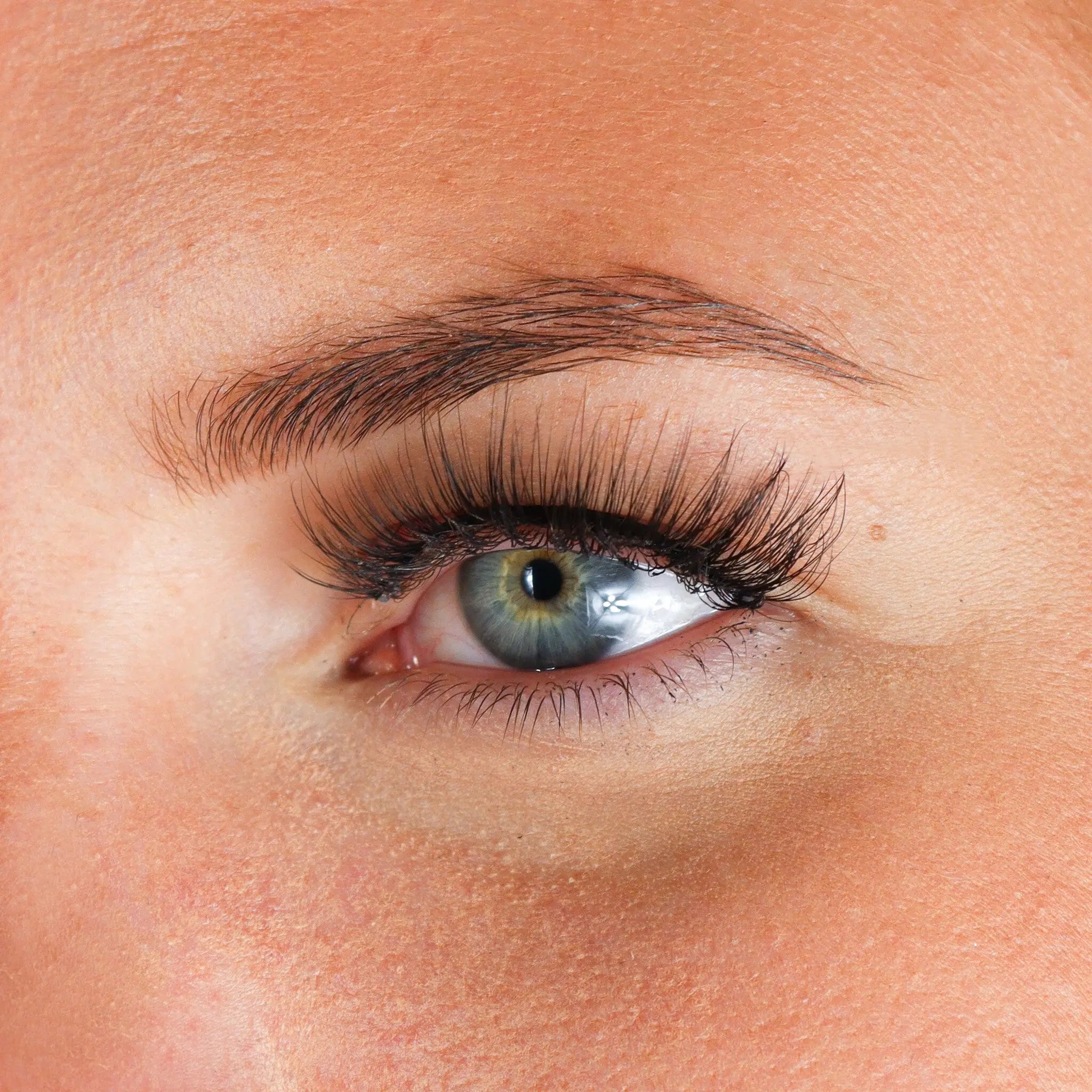 Lashes Inge