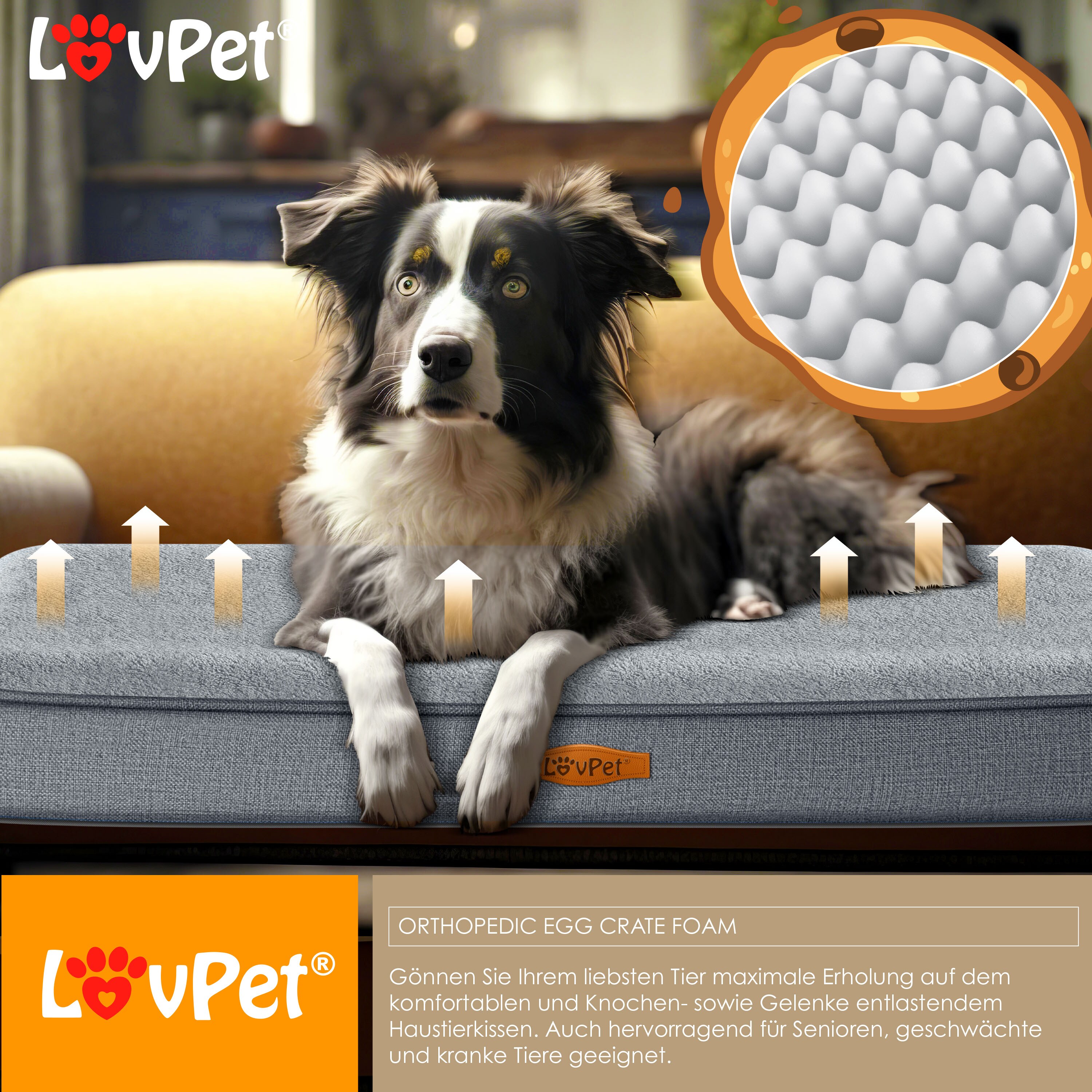 LovPet® Hundebett orthopädisches Hundekissen Hundekorb Cookie, Inkl. Napf + 3X Kauknochen, Hundesofa für Kleine, Mittelgroße & Große Hunde, Bezug abnehmbar und waschbar