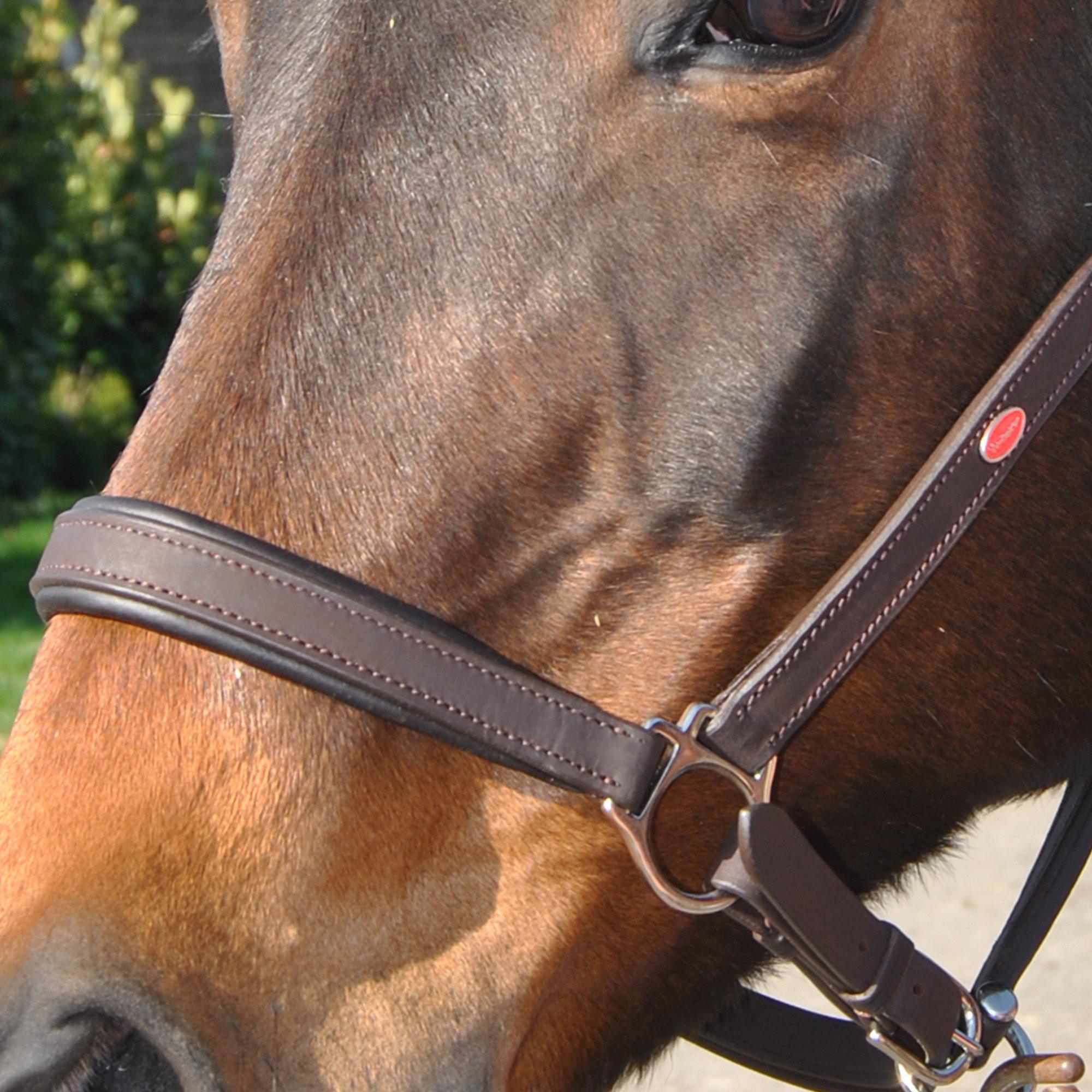 John Whitaker Ready to Ride Leather Headcollar