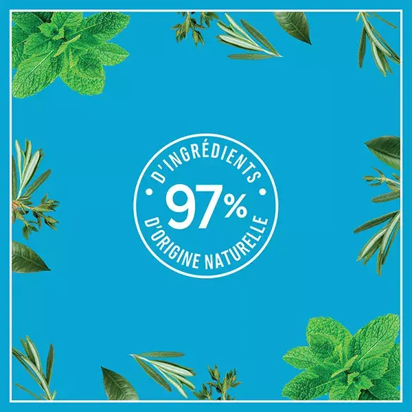 Le Petit Marseillais Shampoing Anti-Pelliculaire et Menthe Bio 250ml