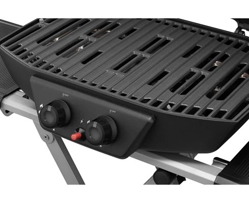 Austin and Barbeque AABQ - Superior Portable 2 Burner Gas Grill