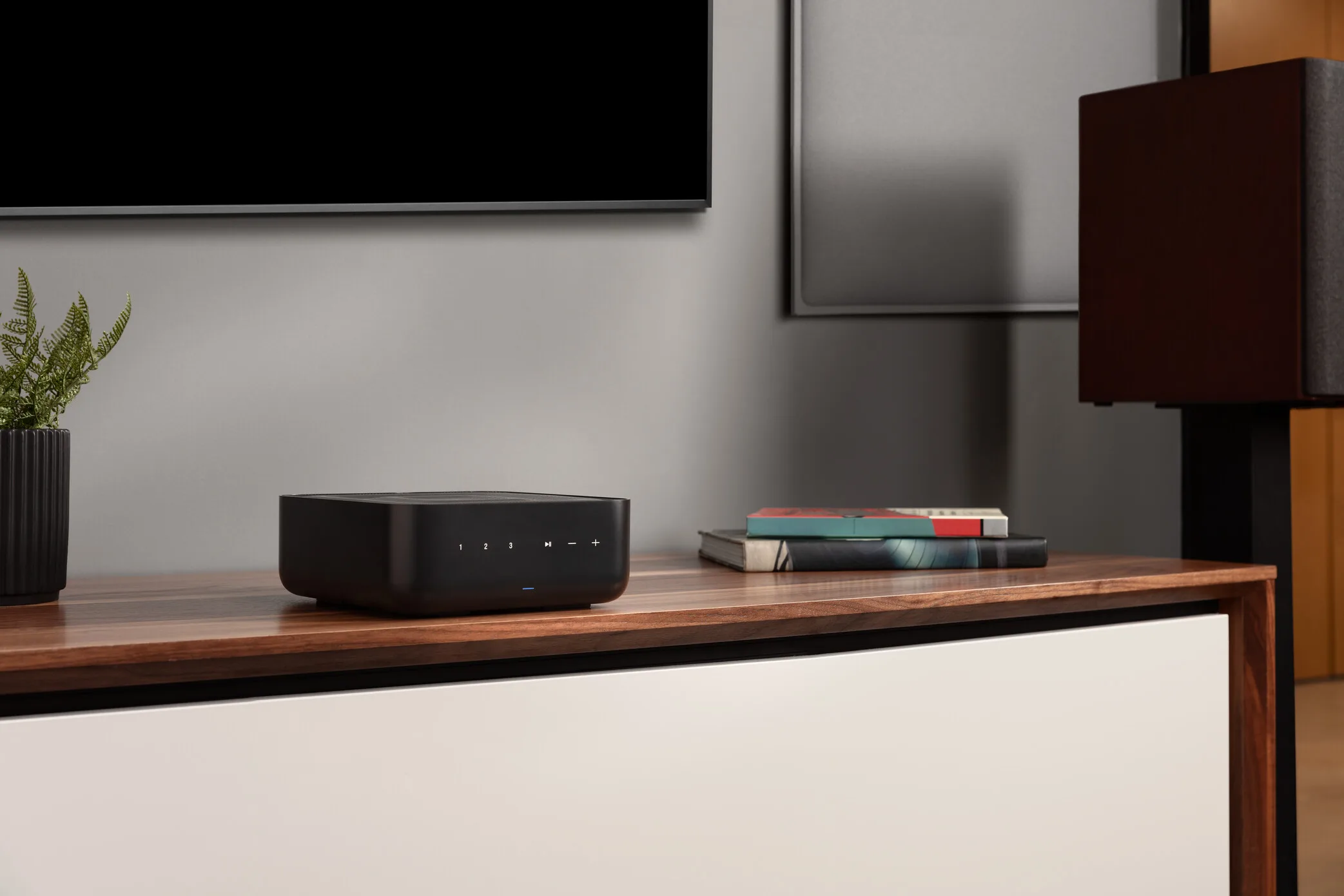 Denon Home Amp Amplis hi-fi stéréo